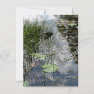 Reflektioner vid Vatten Kant Vykort