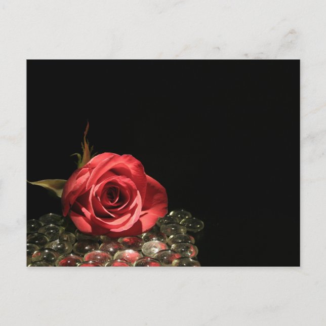 Reflektioner Vykort (Framsida)