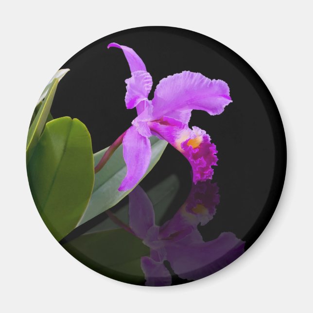 Reflektionerat fylligt orchid Magnet (Framsidan)
