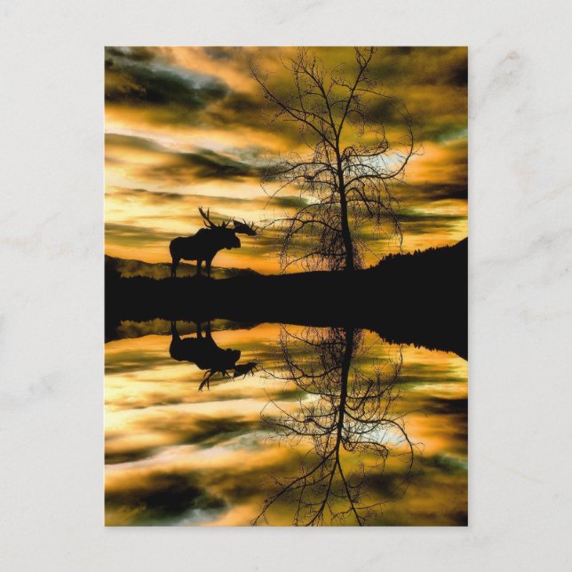   Reflektionskort Vykort (Framsida)