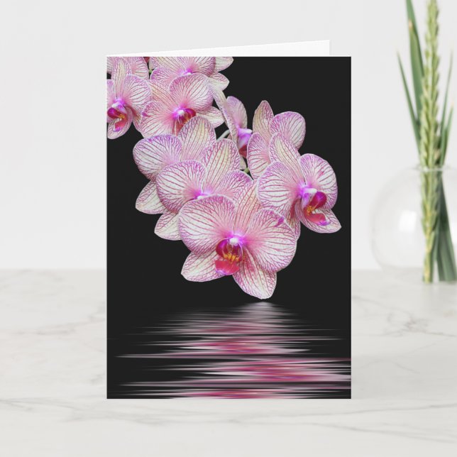 Reflektionssympati för rosa Orchid Vatten Kort (Framsida)
