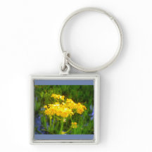 Reflektionstangentkedja för solrossolrosen Vatten