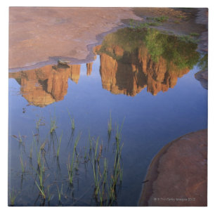 Reflexion av domkyrkasten, Sedona, Arizona Kakelplatta