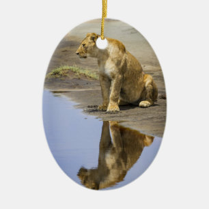 Reflexion av en Lionessprydnad Julgransprydnad Keramik