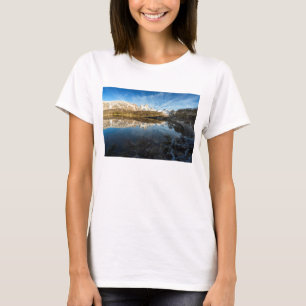 Reflexion av Patagonia T-shirt