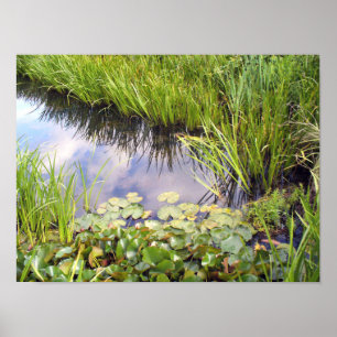 Reflexion des Himmels im Se mit Lilien Poster