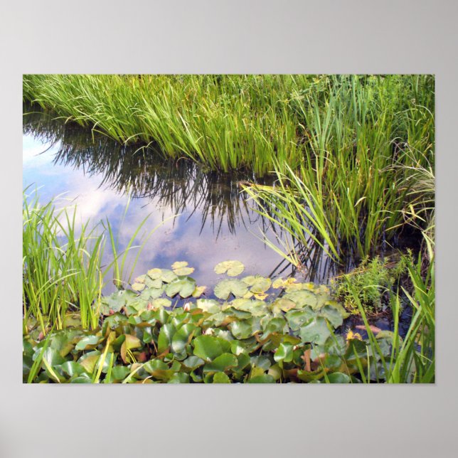 Reflexion des Himmels im Se mit Lilien Poster (Framsidan)