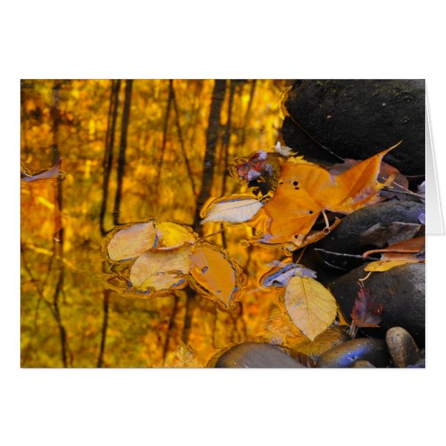 Reflexioner av höstguld hälsningskort (Framsidan Horizontal)