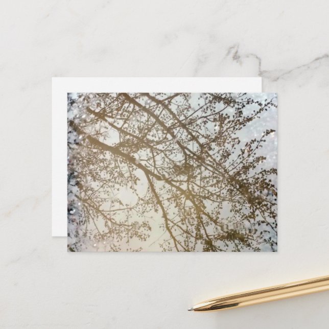 Reflexioner kring vår Träd Bike Väg Puddle Kanada Vykort (Fram/Back In Situ)