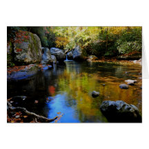 Reflexioner på stor bäck