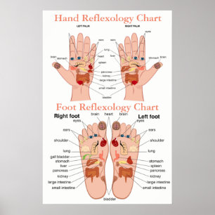 Reflexologidiagram 20X30 tum Poster