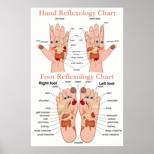 Reflexologidiagram 20X30 tum Poster (Framsidan)