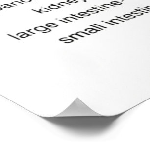 Reflexologidiagram 24X36 tum Poster