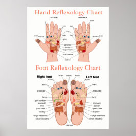 Reflexologidiagram 24X36 tum Poster