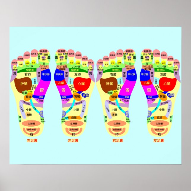 reflexologisk fot karta poster (Framsidan)