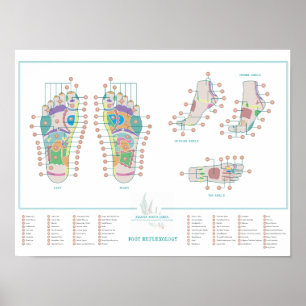 Reflexologisk fotdiagram poster