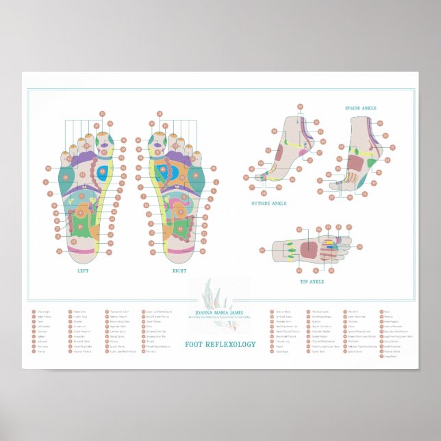 Reflexologisk fotdiagram poster (Framsidan)