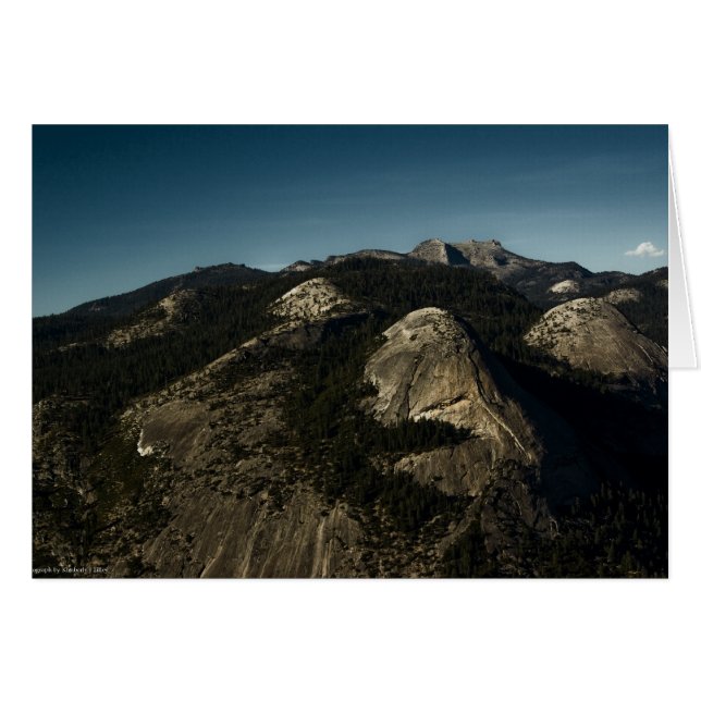 Refödelsekort OBS Kort (Framsidan Horizontal)