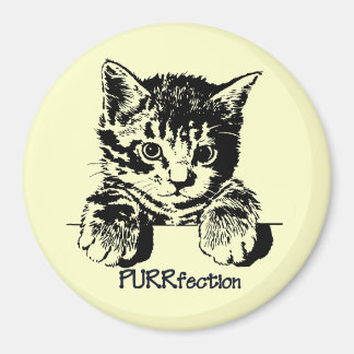 Reformation av kattmagnet magnet