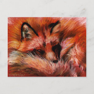 Refuge Fox-vykort Vykort