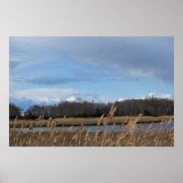 Refuge Waterscape Poster