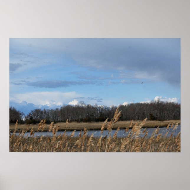 Refuge Waterscape Poster (Framsidan)