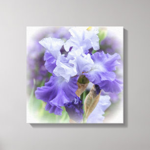 Regal Bearded Iris - Lila & White Canvastryck