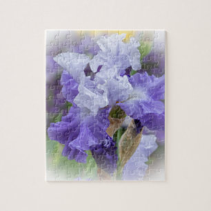 Regal Bearded Iris - Lila & White Pussel