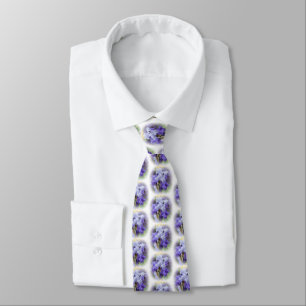 Regal Bearded Iris - Lila & White Slips