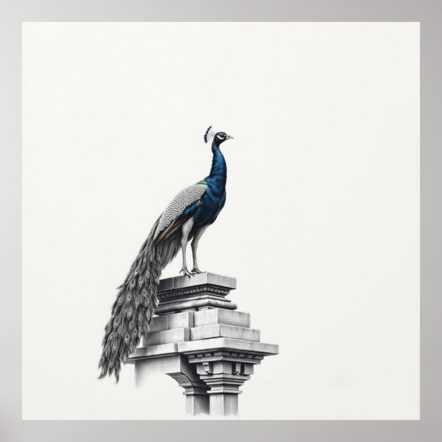 Regal Beauty: Peacock Art Poster (Framsidan)