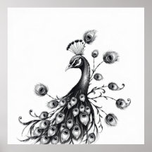 Regal Beauty: Peacock Charcol Art