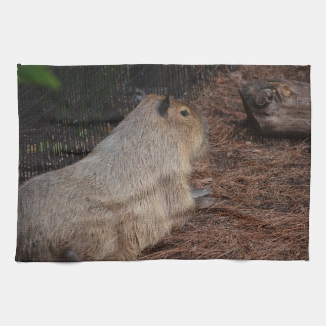 regal capybarabaksida beskådar djur kökshandduk (Horisontell)
