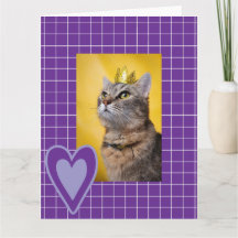 Regal Cat