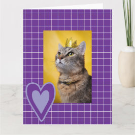 Regal Cat Kort