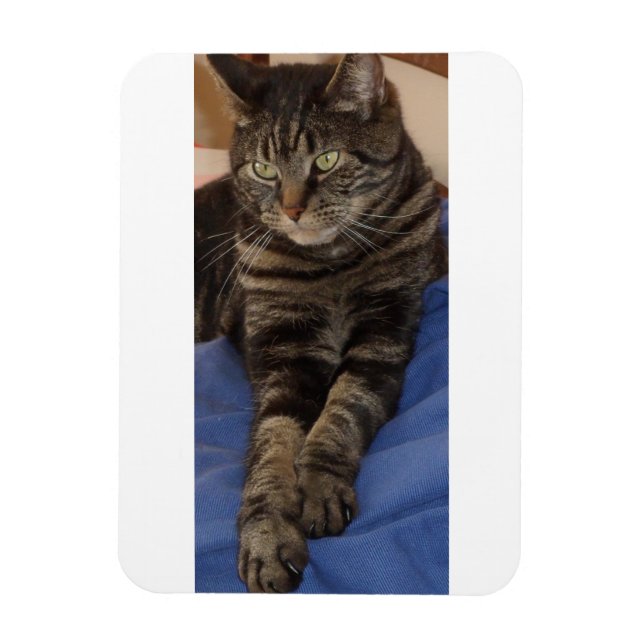 Regal Dave 3"x4" Photo Magnet (Vertikal)