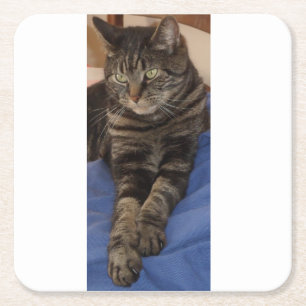 Regal Dave Anpassningsbar Costers Underlägg Papper Kvadrat