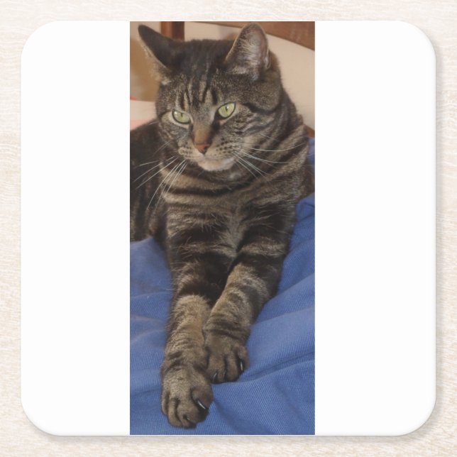 Regal Dave Anpassningsbar Costers Underlägg Papper Kvadrat (Framsidan)