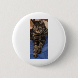 Regal Dave Badge Knapp
