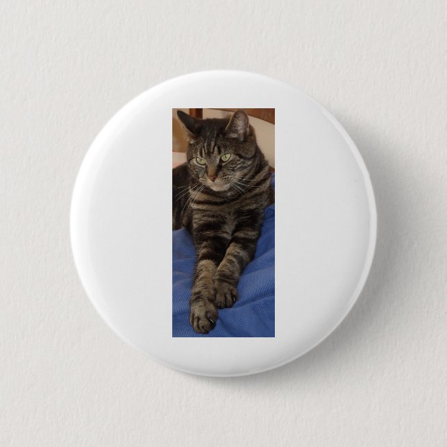Regal Dave Badge Knapp (Framsida)