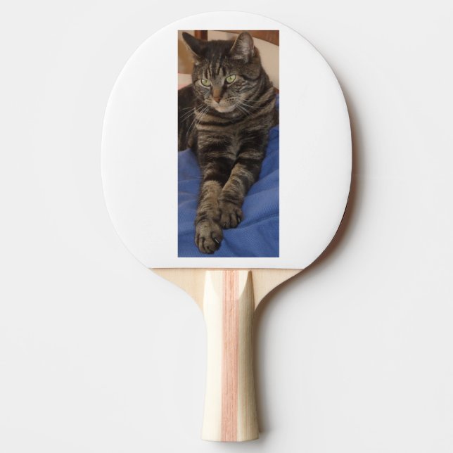 Regal Dave Black Backed Ping Pong Paddle Pingisracket (Framsidan)
