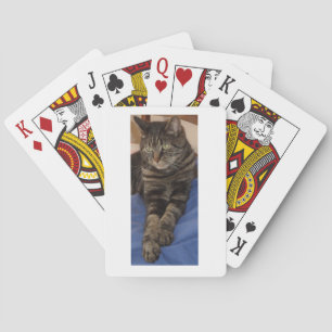 Regal Dave Casinokort