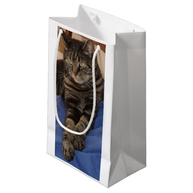 Regal Dave Gift Bag (Framsidan Vinklad)