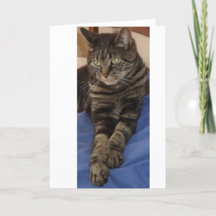 Regal Dave Greeting Cards Kort