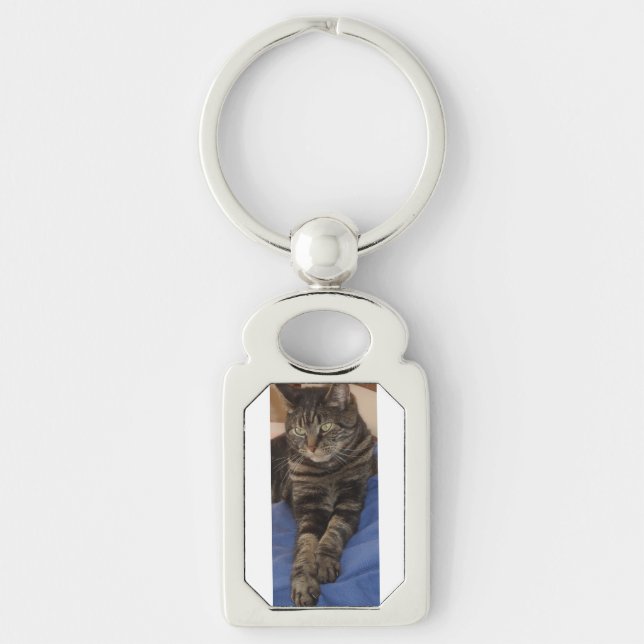 Regal Dave Metall Keychain Rektangulärt Silverfärgad Nyckelring (Framsidan)