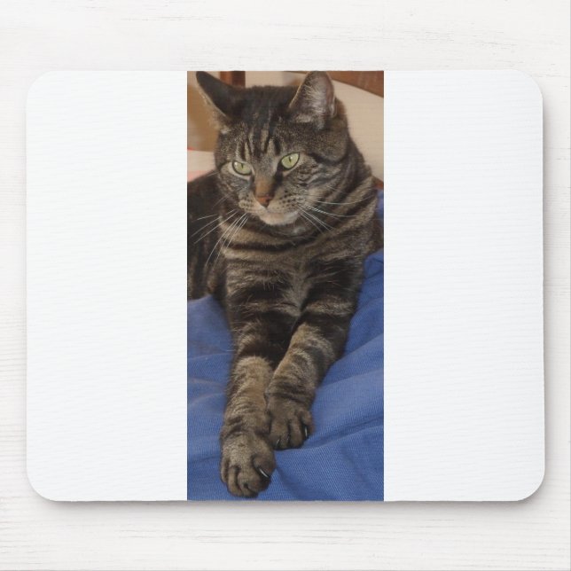 Regal Dave Mousepad Musmatta (Framsidan)