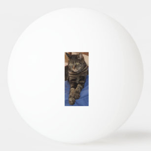Regal Dave One Star Ping Pong Boll