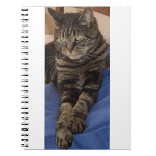 Regal Dave Photo Notebook (80 sidor) Anteckningsbok Med Spiral
