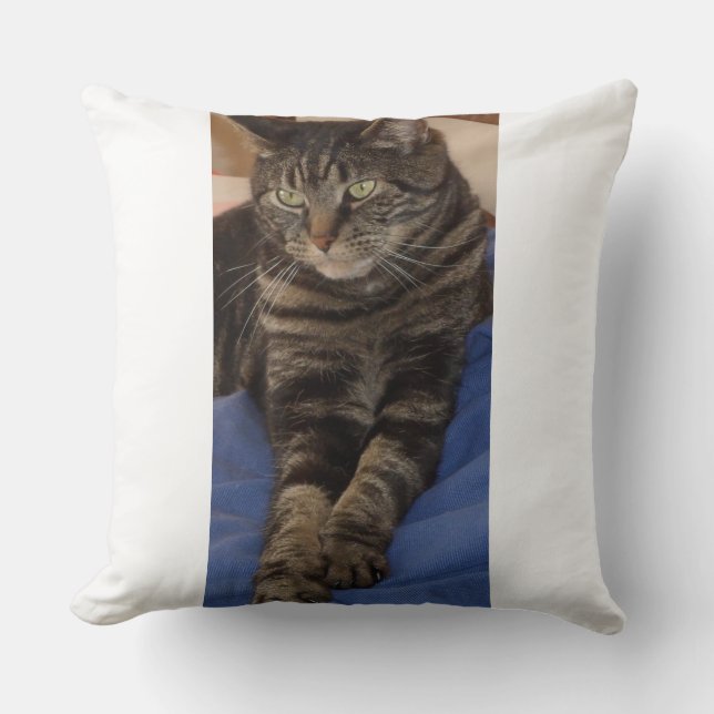 Regal Dave Polyester Cushion Kudde (Framsida)