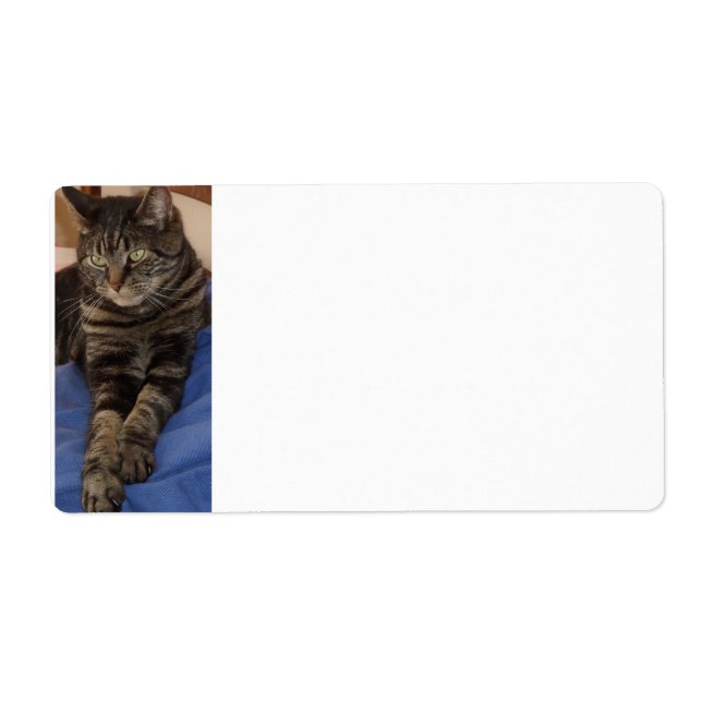 Regal Dave Sipping Labels Fraktsedel (Framsidan)