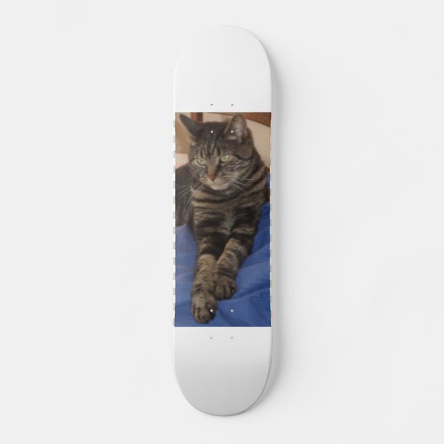 Regal Dave Skateboard (Framsida)